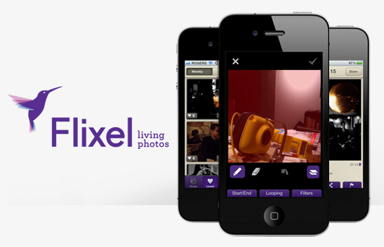 Flixel