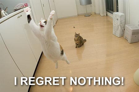 regret