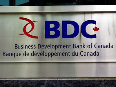 BDC_L (1)