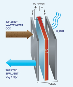 Axine-2 | BetaKit Axine-2
