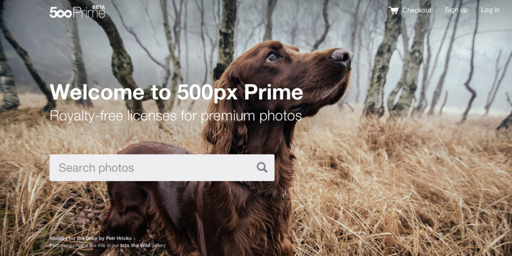 Screen Shot 2014-04-01 at 1.59.11 PM