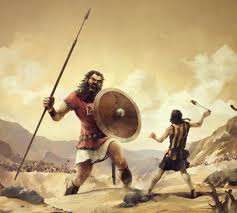 david