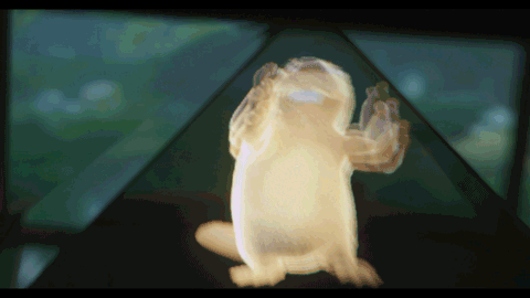 woody_apple | BetaKit woody_apple