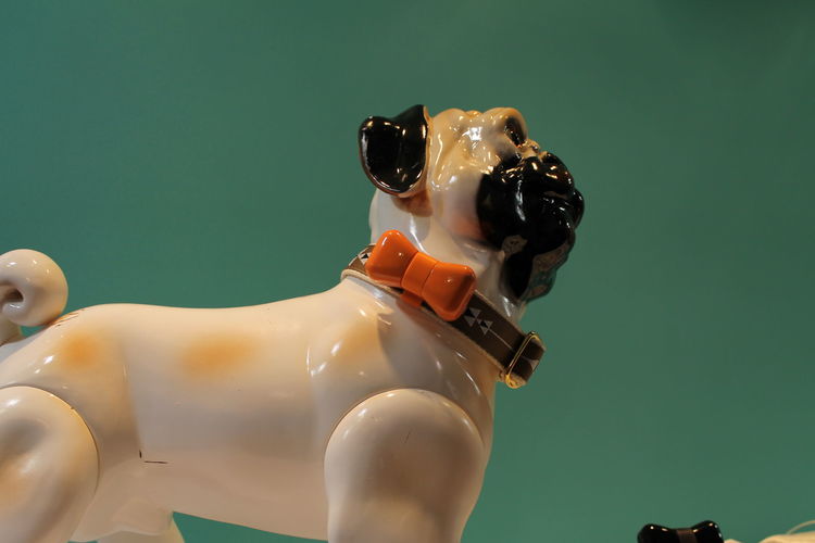 download (19) | BetaKit download (19)